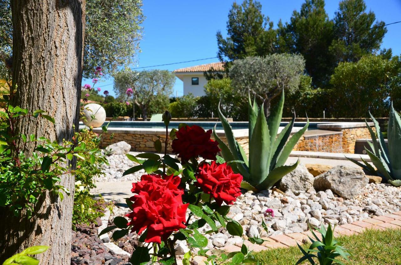 Appartements Du Jas De Clare ลากาเดียร์-ดาซูร์ ภายนอก รูปภาพ